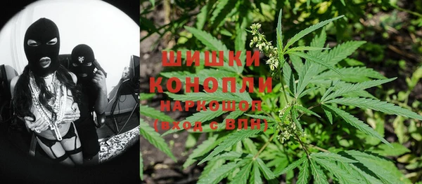 PSILOCYBIN Михайлов