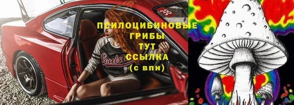 гидра Михайловск