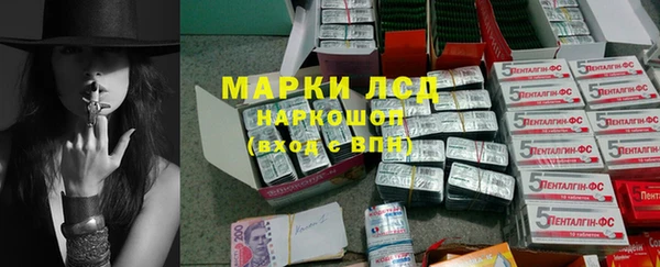 гидра Михайловск