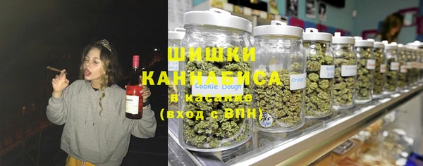гидра Михайловск