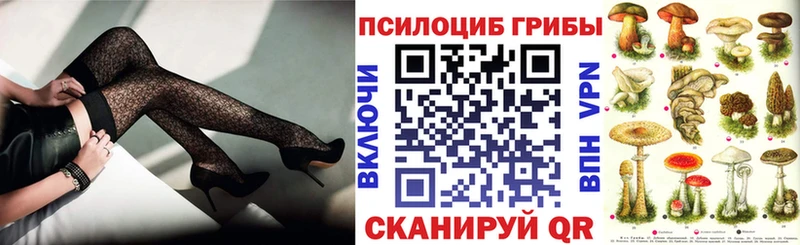 Псилоцибиновые грибы Psilocybine cubensis  Томари 
